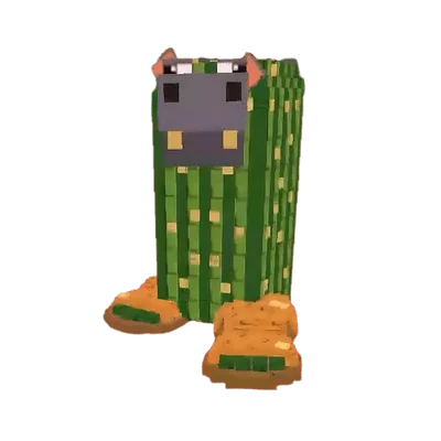 Cacto Hipopotamo